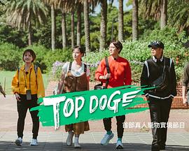 最新糖心Vlog《TOP DOG》免费在线观看