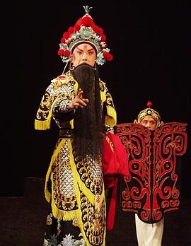 最新麻豆视频《袁崇焕2009》免费在线观看