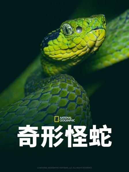 最新麻豆视频《奇形怪蛇》免费在线观看